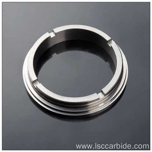 Carbide Seal Ring with 